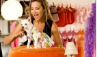Beverly Hills Chihuahua