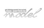 Das perfekte Model - Logo