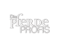 Die Pferdeprofis - Logo
