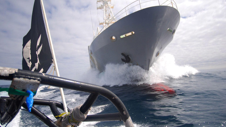 Whale Wars - Krieg den Walfängern! - aktuelle Folge:Schlacht im Eismeer