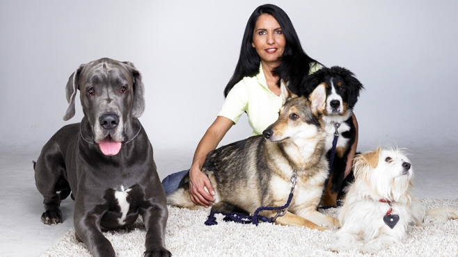 Die Tier-Nanny - aktuelle Folge:Unberechenbarer Buddy / Hund allein zuhaus