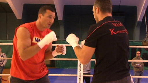 Klitschkos gemeinsam im Ring