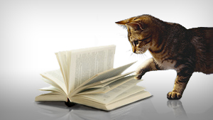 VOX Katzenlexikon