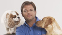 Neues Live-Programm: „Der tut nix!“ 