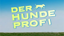 Vox Now Hundeprofi Vox Now Hundeprofi